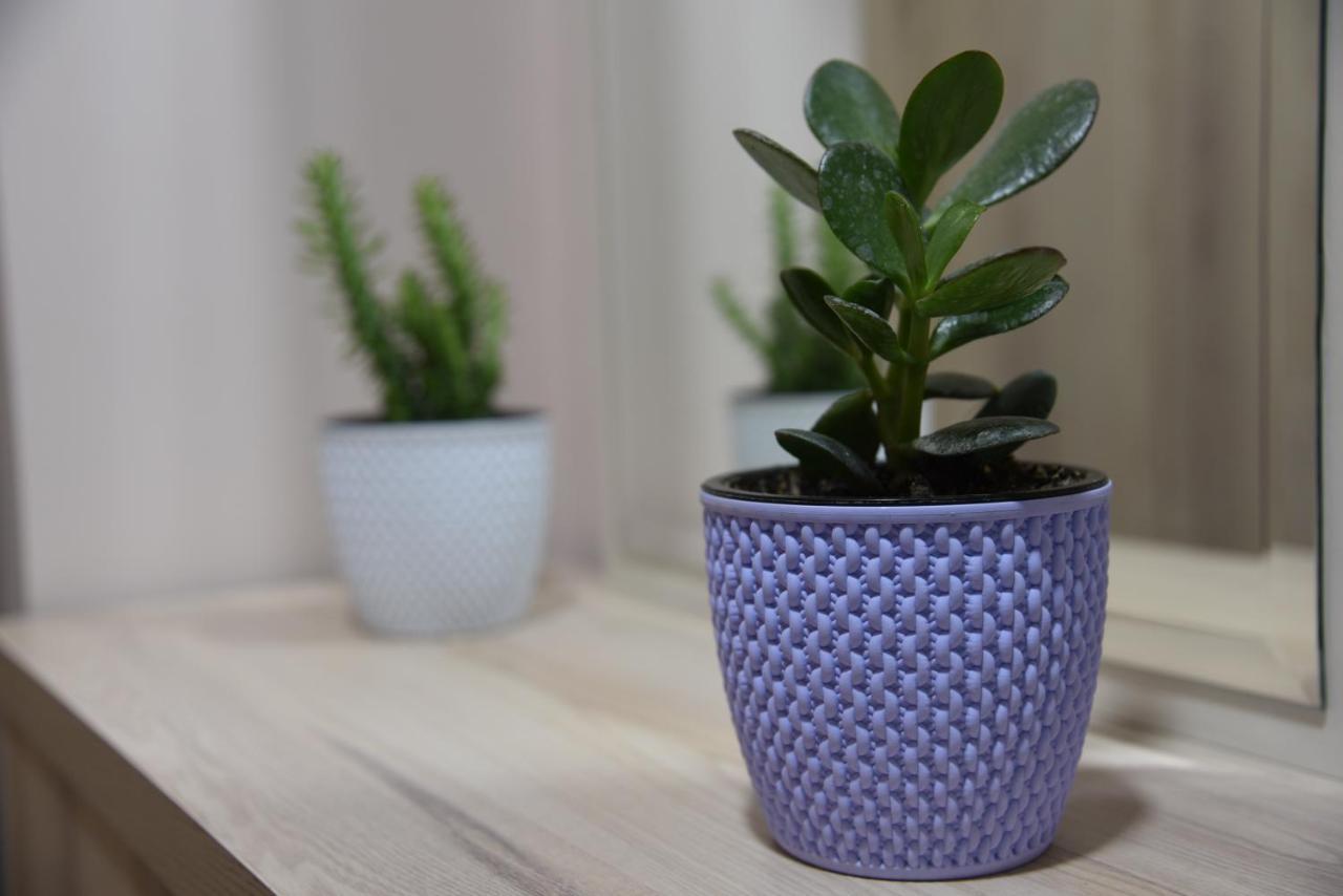 Ecoart Apartments Τίρανα Εξωτερικό φωτογραφία